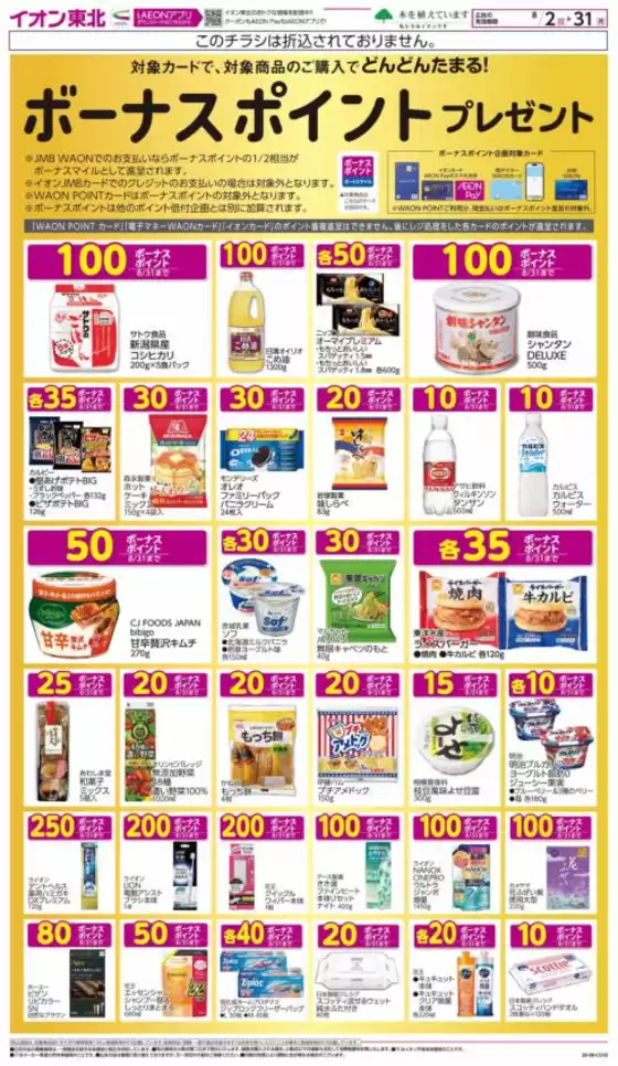 main_flyer image