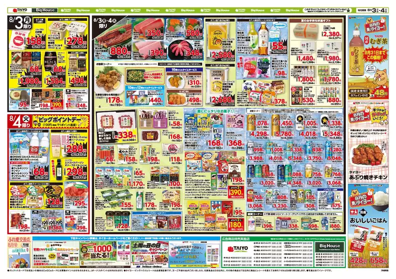 main_flyer image