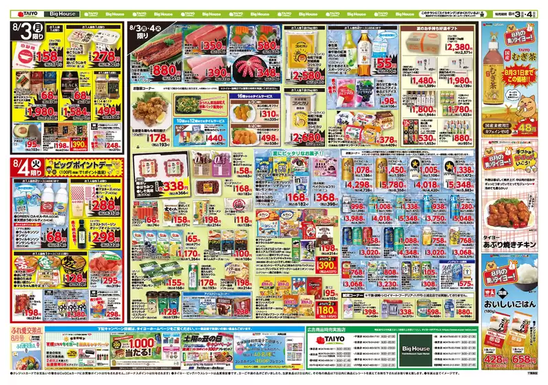 main_flyer image