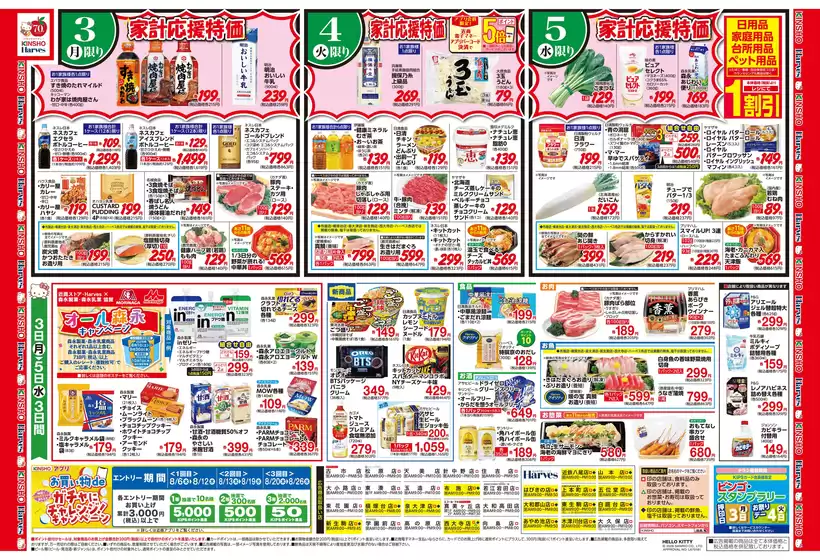 main_flyer image