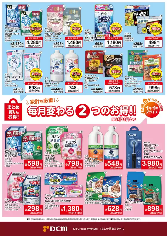 main_flyer image