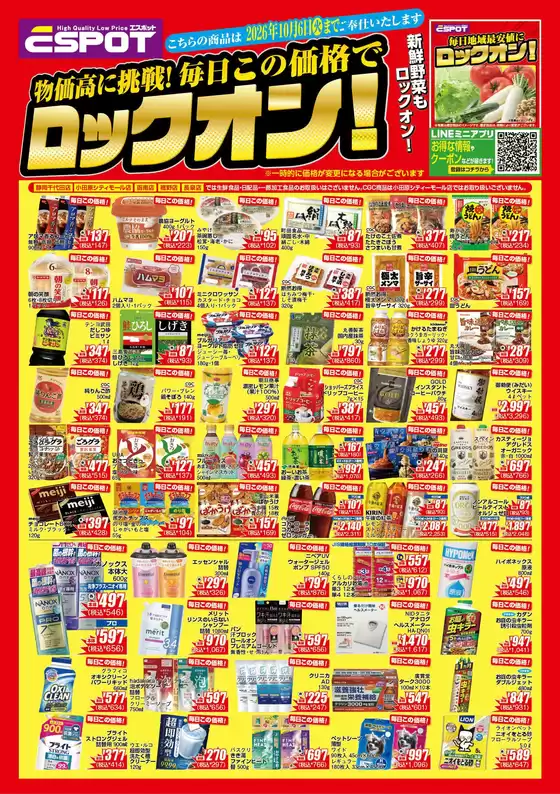 main_flyer image