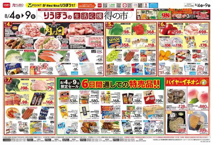 main_flyer image
