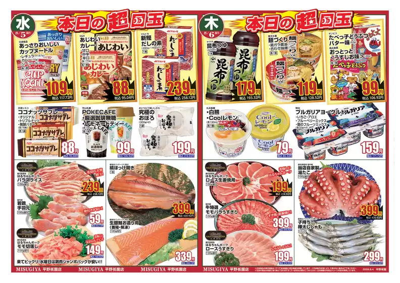 main_flyer image