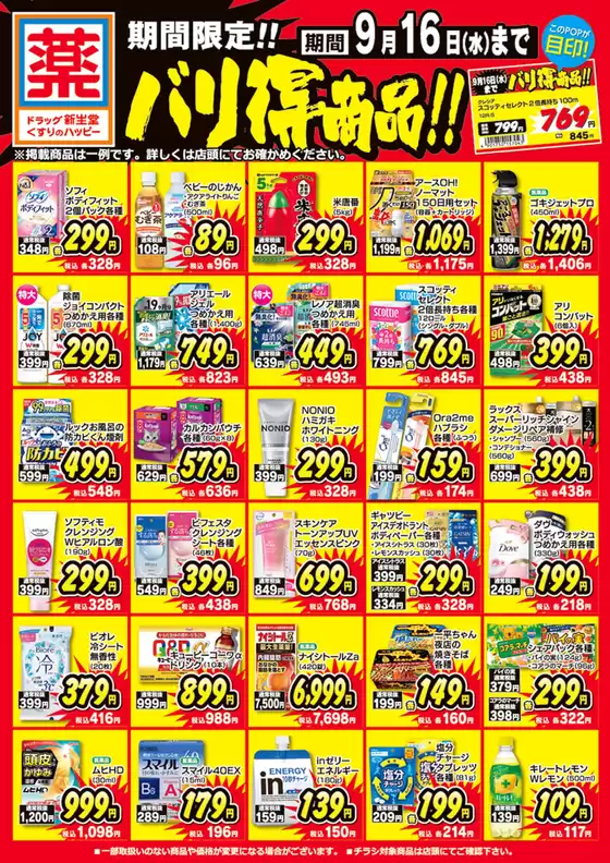 main_flyer image