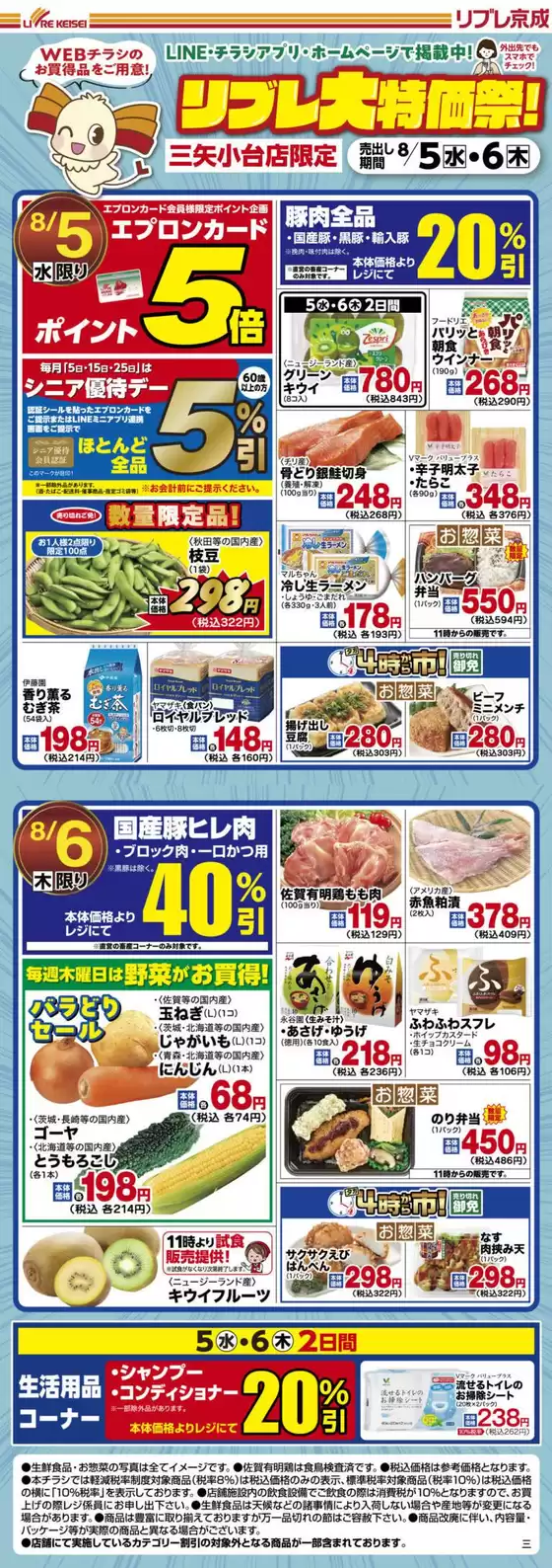 main_flyer image