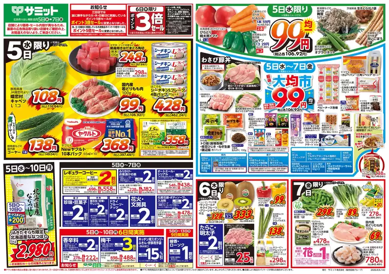main_flyer image