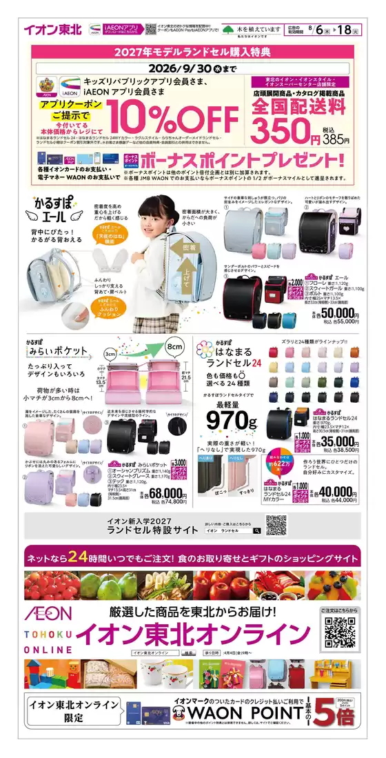 main_flyer image