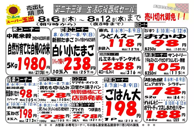 main_flyer image