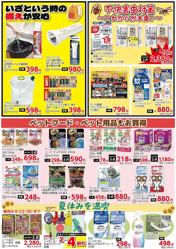 main_flyer image