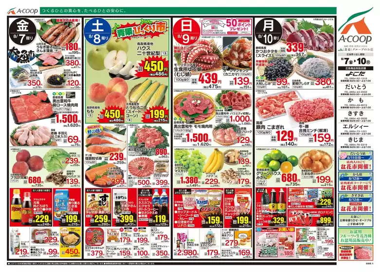 main_flyer image
