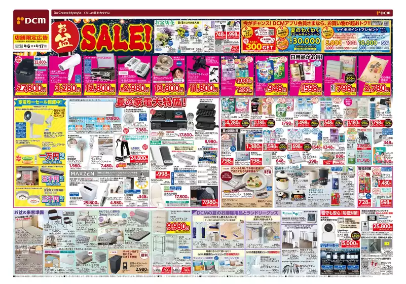 main_flyer image