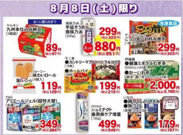main_flyer image