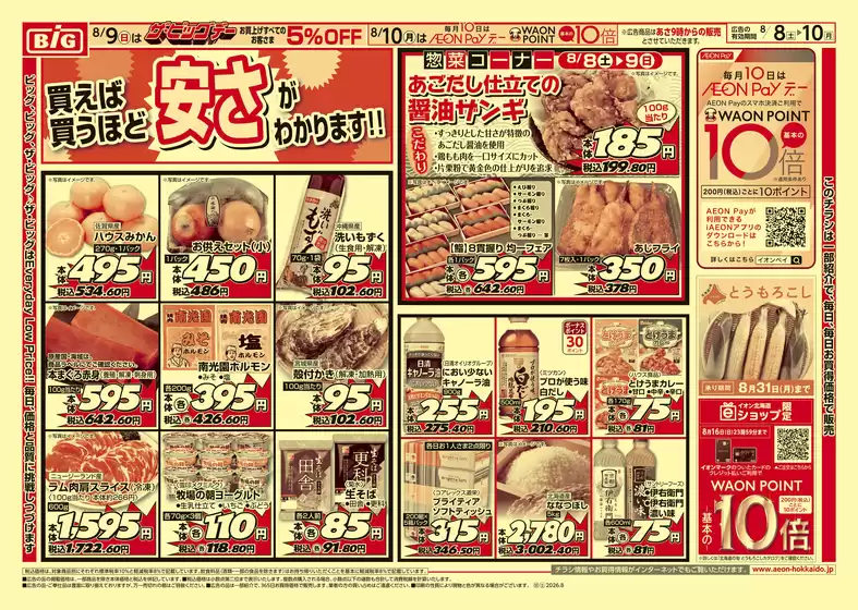 main_flyer image