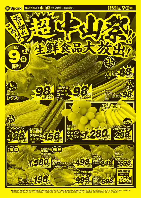 main_flyer image