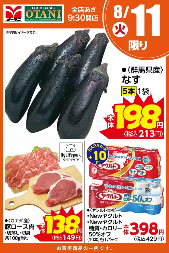 main_flyer image