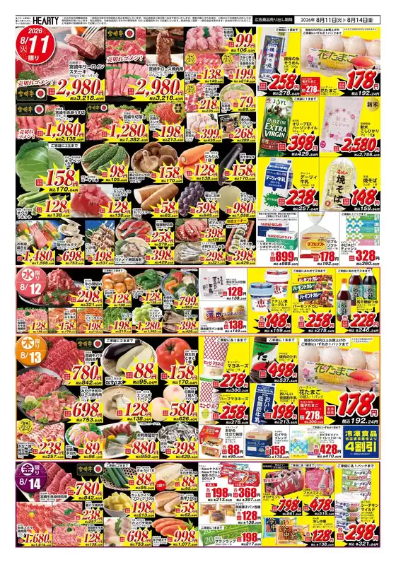 main_flyer image