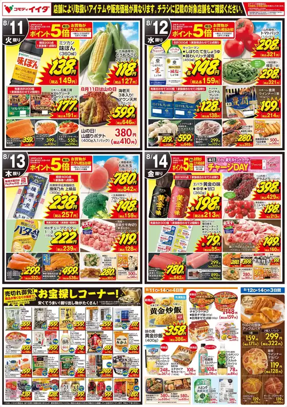 main_flyer image