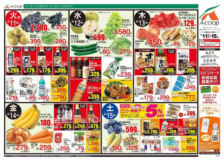 main_flyer image