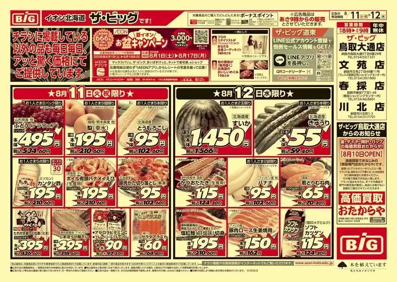 main_flyer image