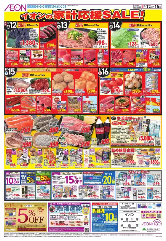 main_flyer image