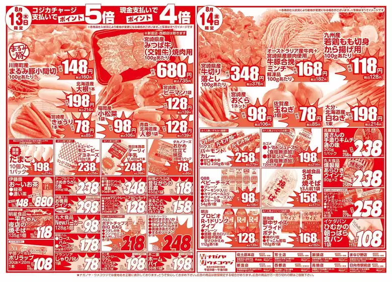 main_flyer image