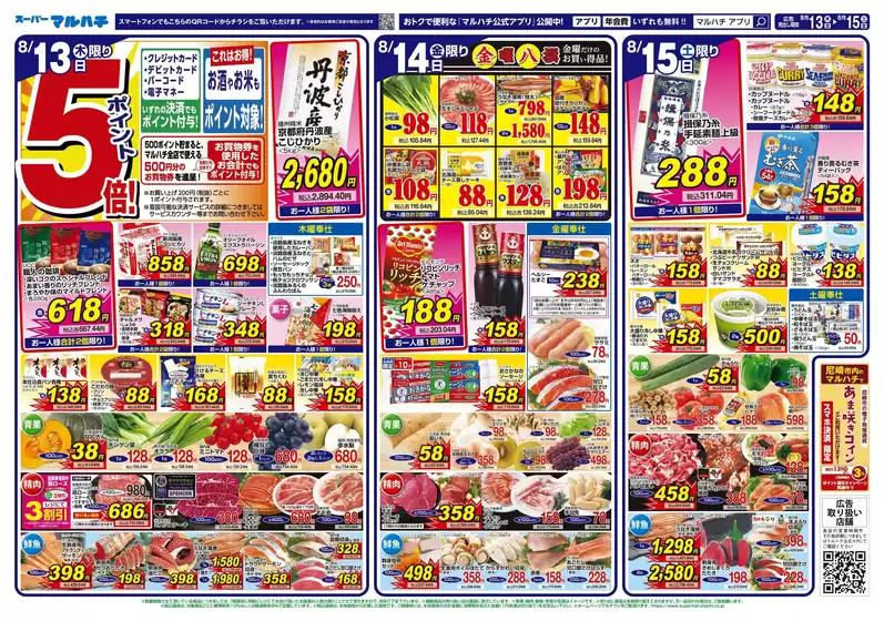 main_flyer image