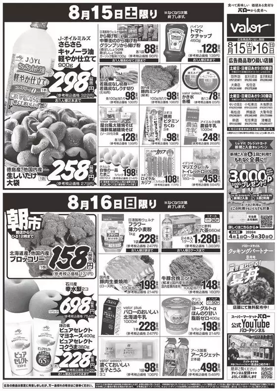 main_flyer image