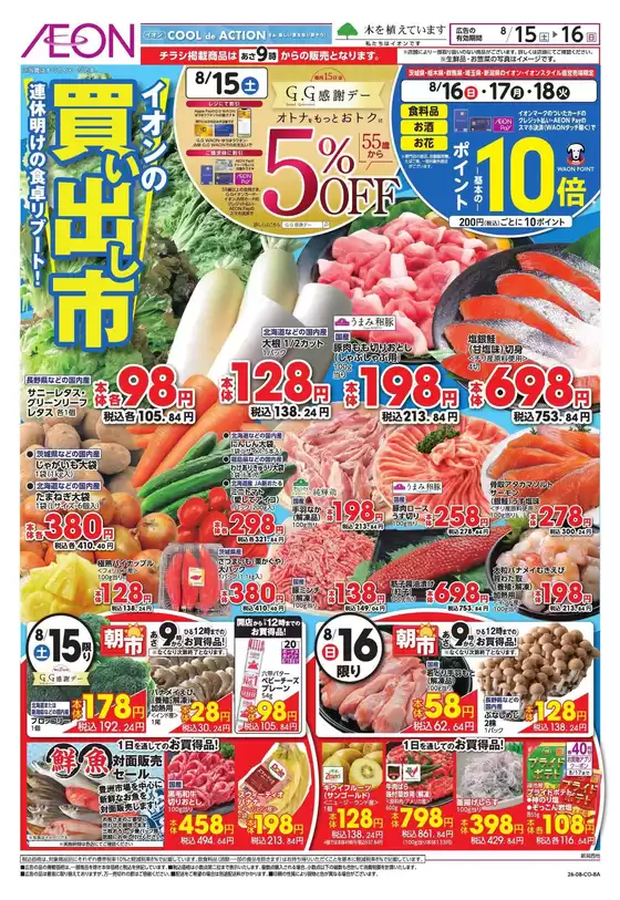 main_flyer image