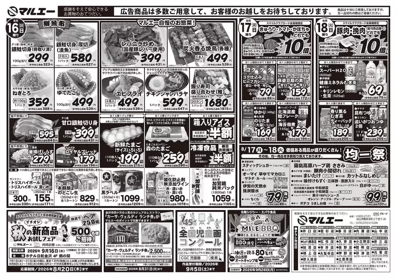 main_flyer image