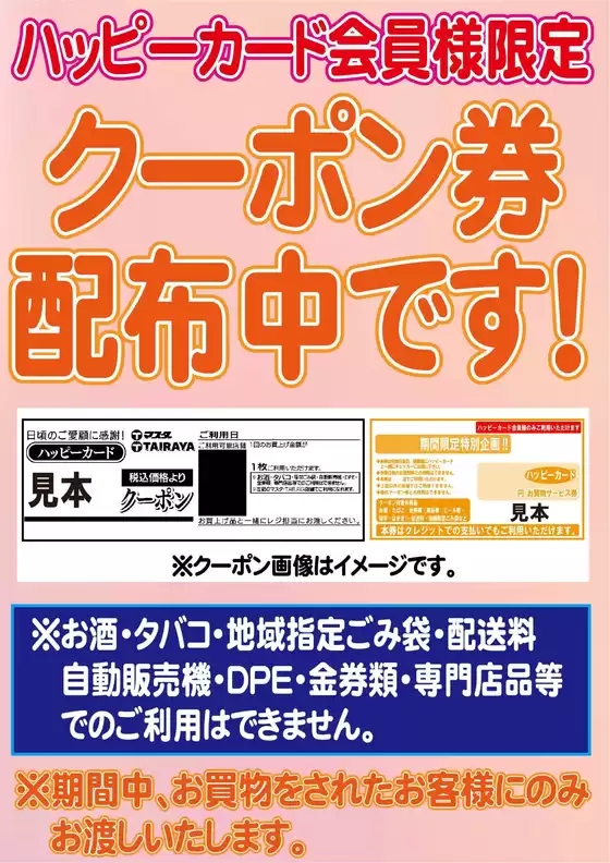 main_flyer image