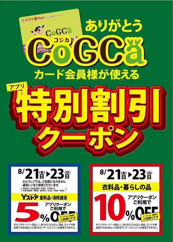 main_flyer image