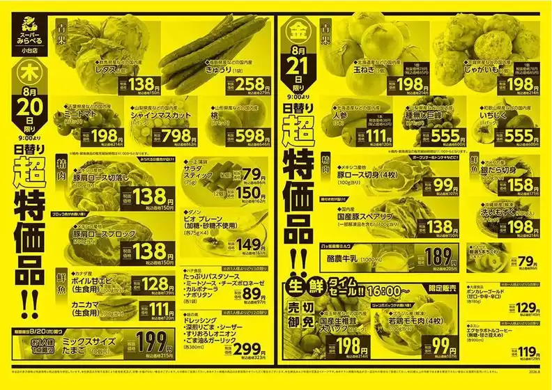 main_flyer image