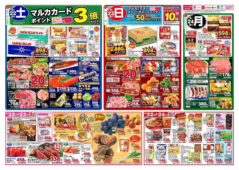 main_flyer image