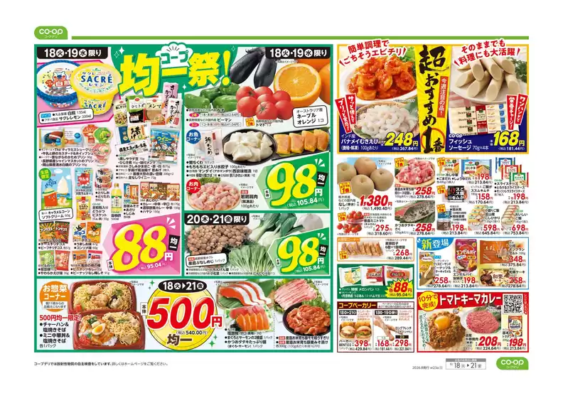main_flyer image