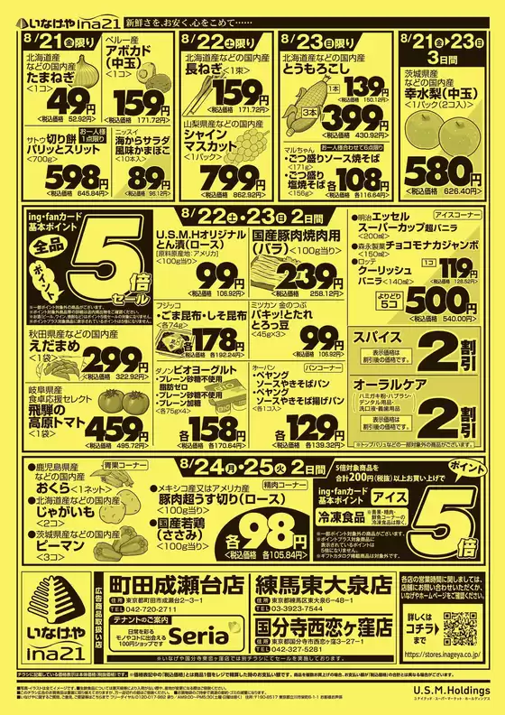 main_flyer image
