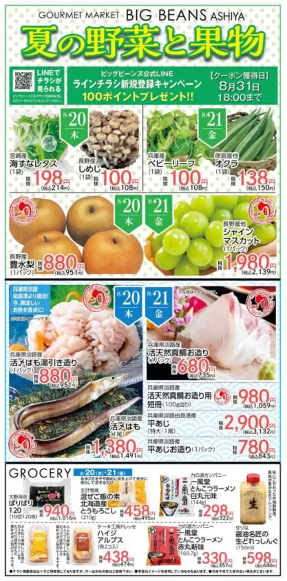 ビッグビーンズのカタログ | 芦屋店 | 2026-08-20T00:00:00.000Z - 2026-08-21T00:00:00.000Z