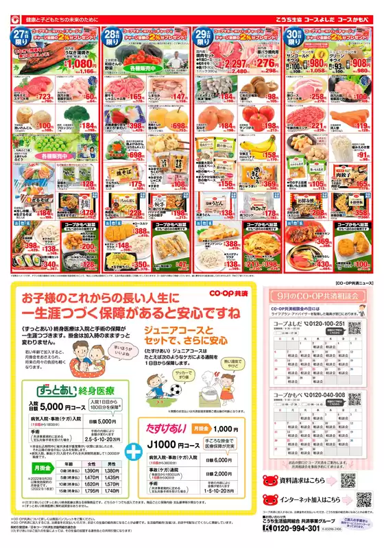 main_flyer image