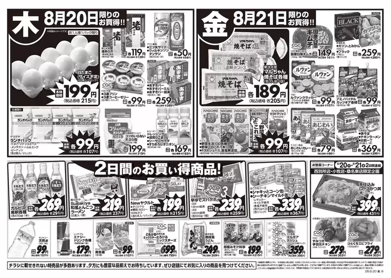 main_flyer image