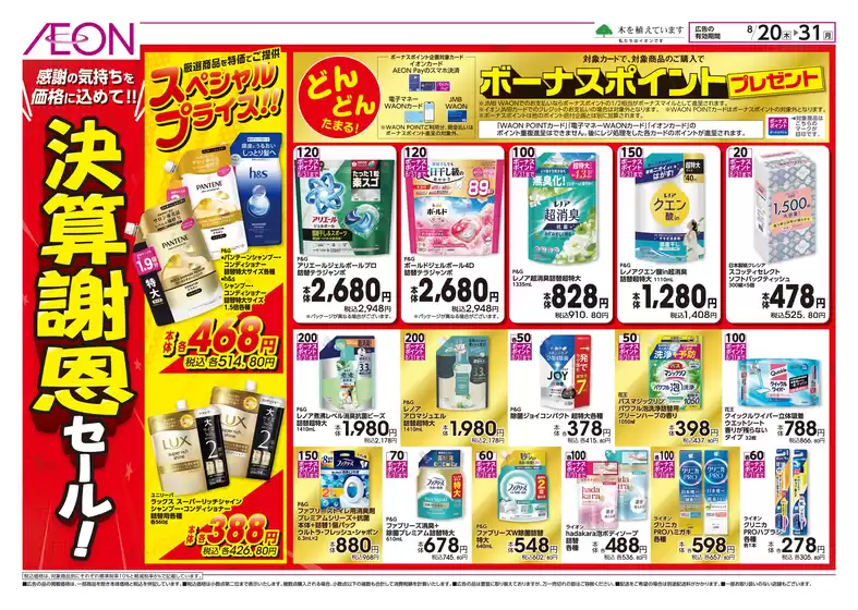 main_flyer image