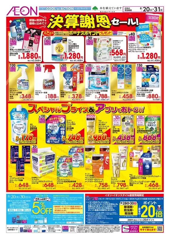 main_flyer image