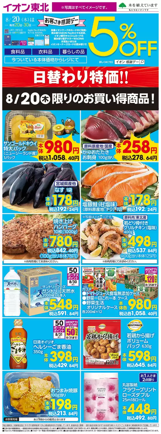 main_flyer image