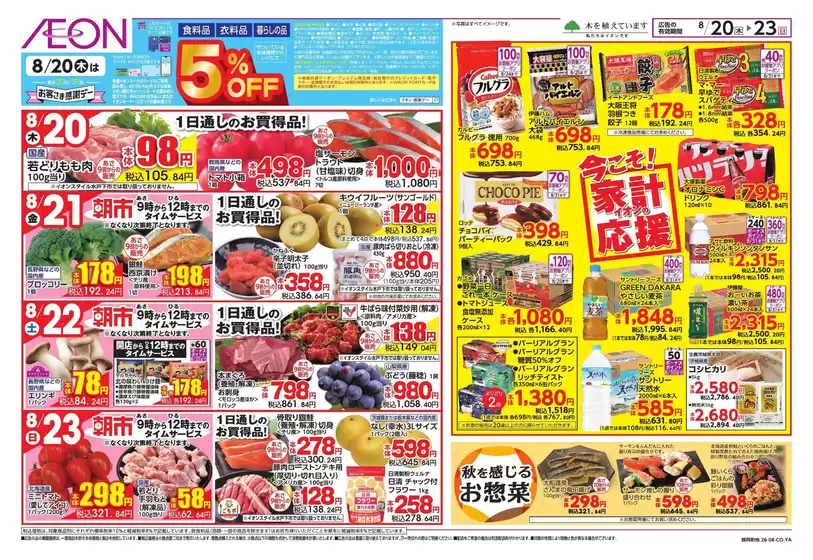 main_flyer image