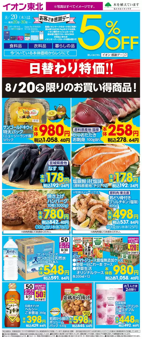 main_flyer image