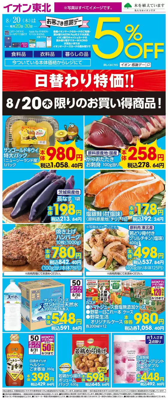 main_flyer image