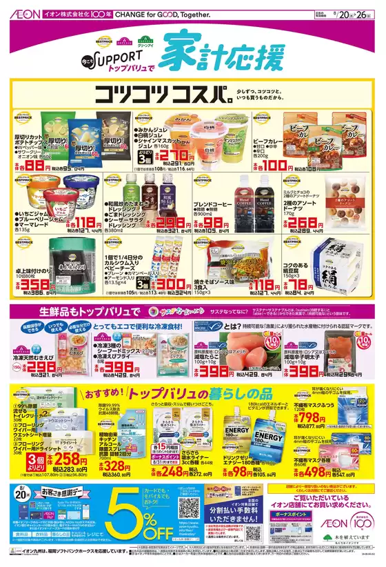 main_flyer image