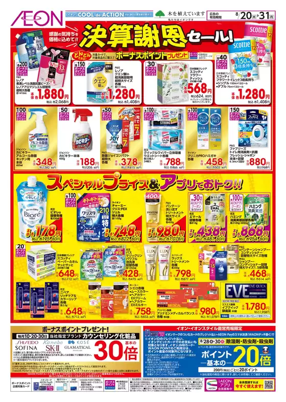 main_flyer image