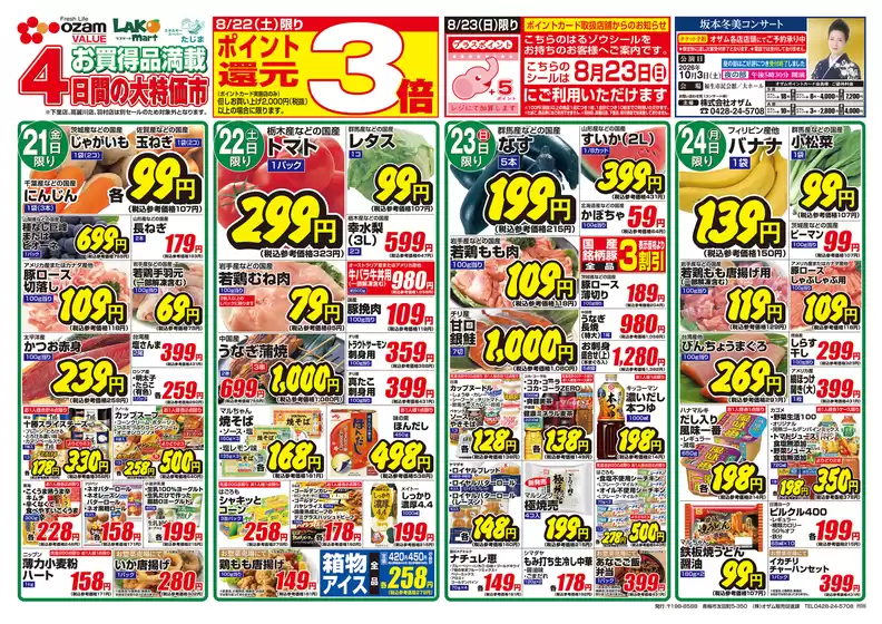 main_flyer image