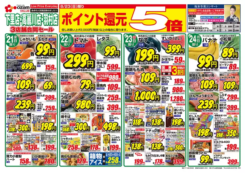 main_flyer image