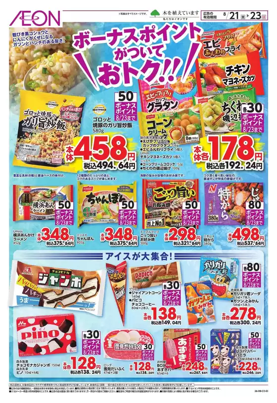 main_flyer image